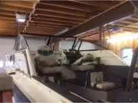 StarCraft Islander