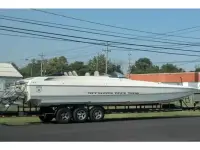 Spectre Poker Run Cat