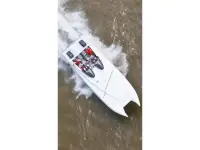 Spectre Poker Run Cat
