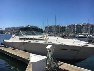 Sea Ray Express Cruiser