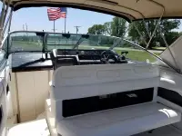 Sea Ray 300 DA 