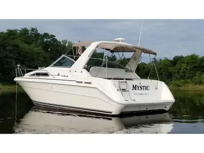 Sea Ray 300 DA 