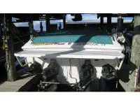 Wellcraft Scarab Thunder 