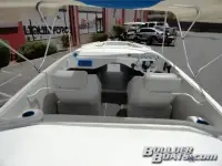 Cheetah 24 Stiletto MidCuddy 