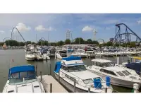 Chris Craft Catalina 310 Catalina flybridge 