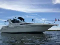 Sea Ray Sundancer Sundancer 300 