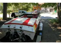 Pantera 24