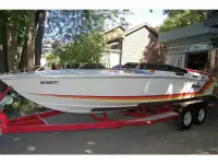 Pantera 24 