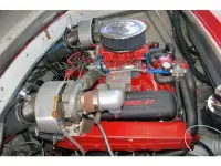 Pantera 24