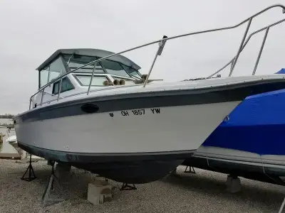 Baha Cruisers Weekender 