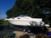 Sea Ray Sundancer 
