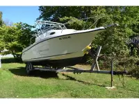 Striper Sea Swirl 2101 WA 