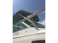 Tiara Pursuit 