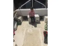 Tiara Pursuit 