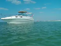 Chaparral Signature 260 