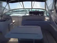 Chris Craft 308 