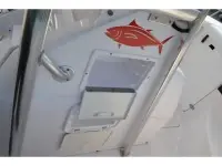 Donzi 29ZF 