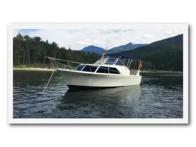Chris Craft 27 Commander 