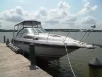 Sea Ray 290 