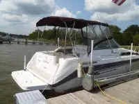 Sea Ray 290 