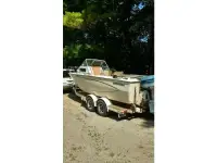 Glastron Sea Fury 216