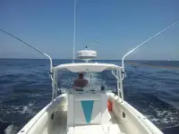 Dakota Center Console 