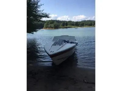 Wellcraft Scarab Panther 