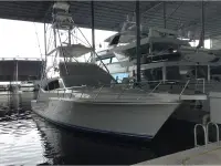Bertram Bertram 570