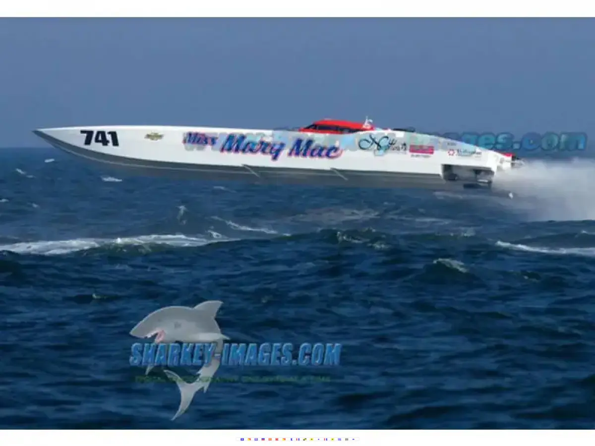 MTI Cat 