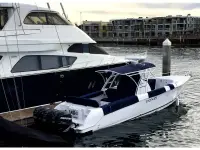 ZFX 38