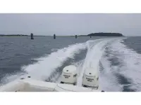 Seaswirl 2601 