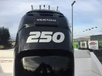 Everglades 210cc