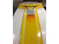 Sunsation 288