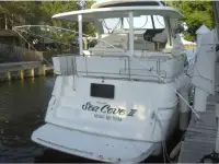 Cruisers 3650