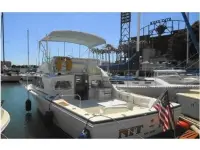 Bertram 28 Flybridge II 