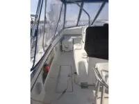 Island Hopper 30 