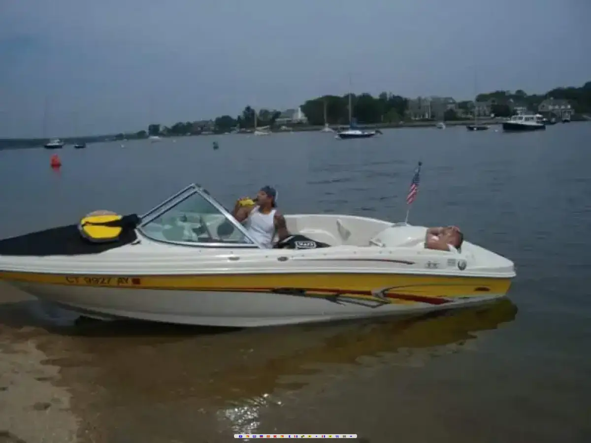 Sea Ray 176 SRX 