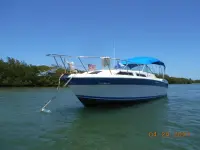 Wellcraft 2900 Express Cruiser 