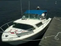 Cobia Sea Queen 