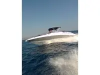 Larson LXi 288 
