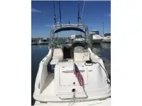 Sea Ray Amberjack 