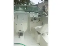 Baha Cruisers 24 Walkaround 