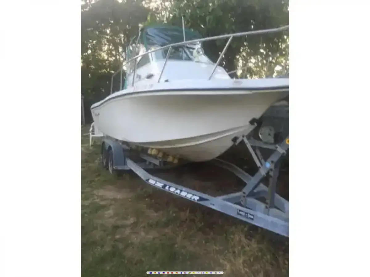 Baha Cruisers 24 Walkaround 