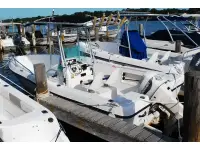 Seaswirl Striper