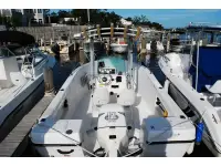 Seaswirl Striper