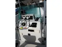 Seaswirl Striper
