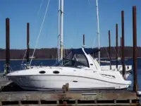 Sea Ray Sundancer 260 Sundancer 