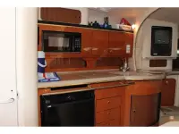 Sea Ray Sundancer 310 Sundancer 