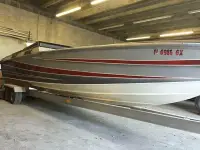 Pantera 24