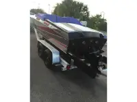 Pantera 24